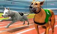 Racing Games Play Free Racing Games Online At A10 Com